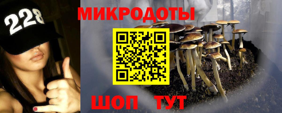 Мирный  Псилоцибиновые грибы Magic Shrooms  Вход с VPN 