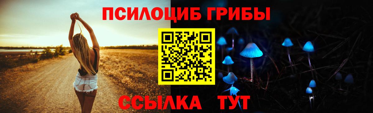 Галлюциногенные грибы ЛСД Мирный